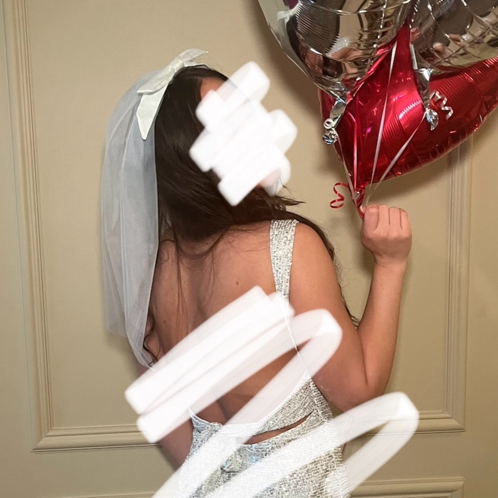 White bow veil, bachelorette/party veil